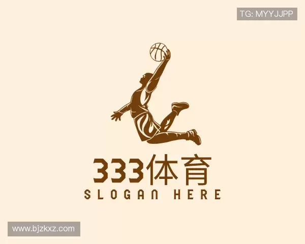 解读333体育